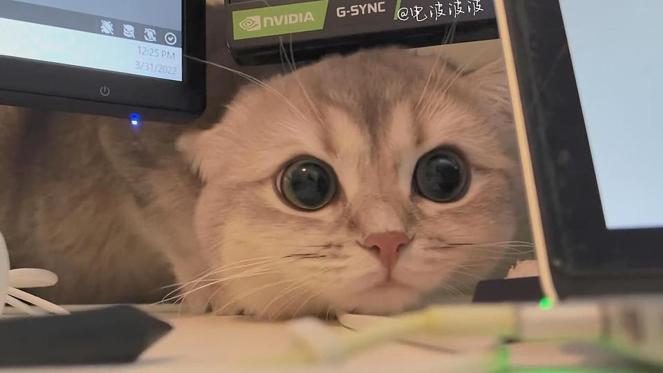 17yoo